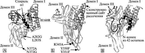 Рис. 9. 3D-модели токсинов семейства Cry
