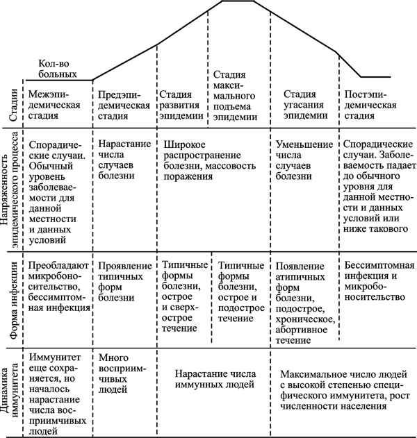 Рис. 7. Схематическое изображение типовых периодов эпидемического процесса, вызванного микроорганизмом, использующим первую стратегию паразитизма (за основу взята схема Бакулова И. А. с соавт., 1997)